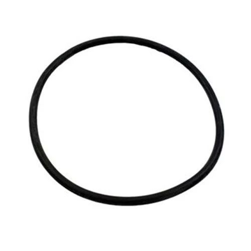 O-Ring for AquaPro PurFlo Strainer Lid