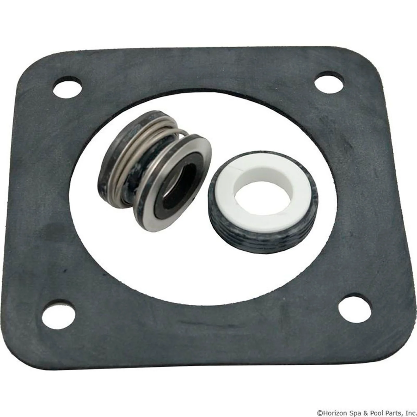 Seal Kit, Pentair Sta-Rite DuraGlas — image 3