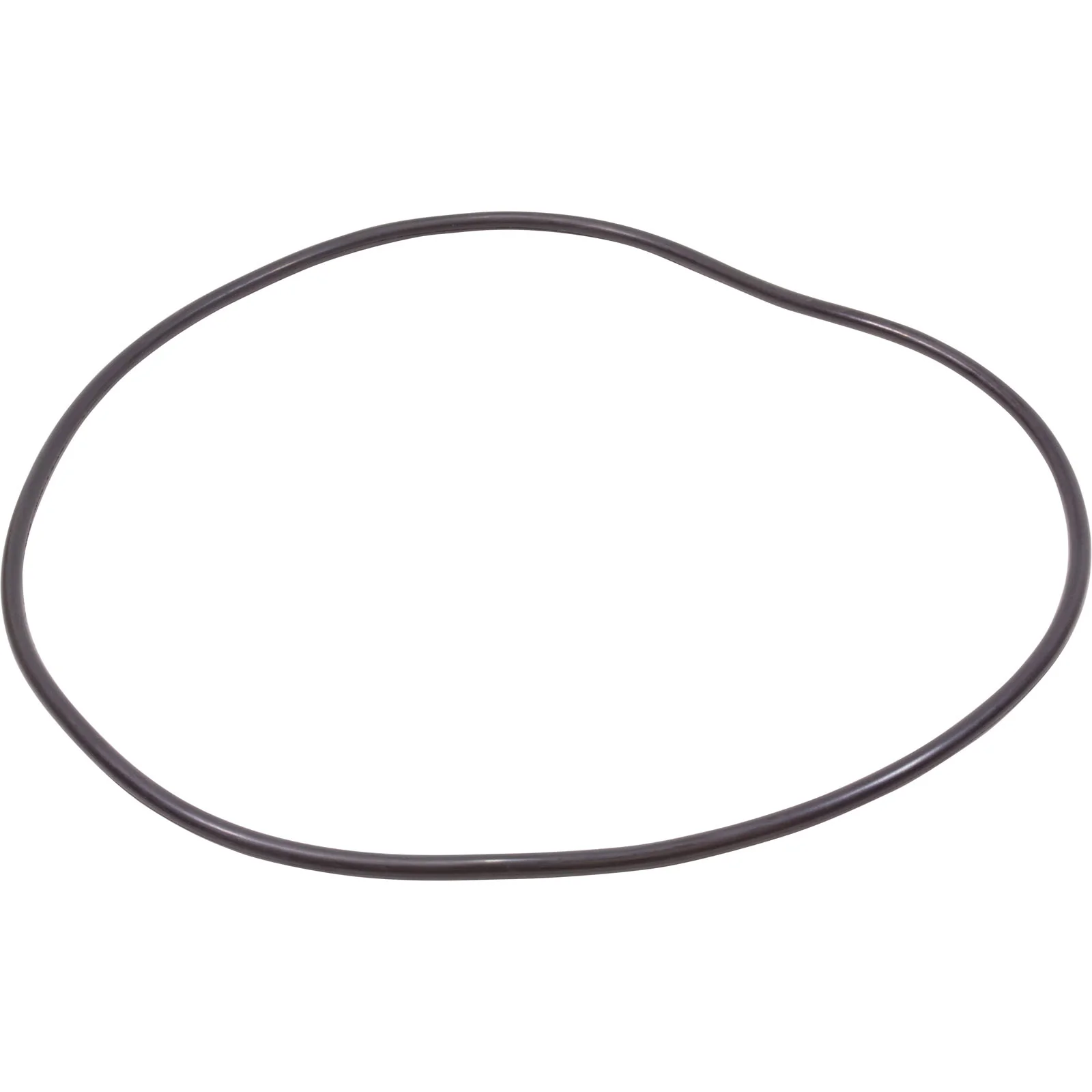 O-Ring, Pentair Quad, Tank Body — image 2