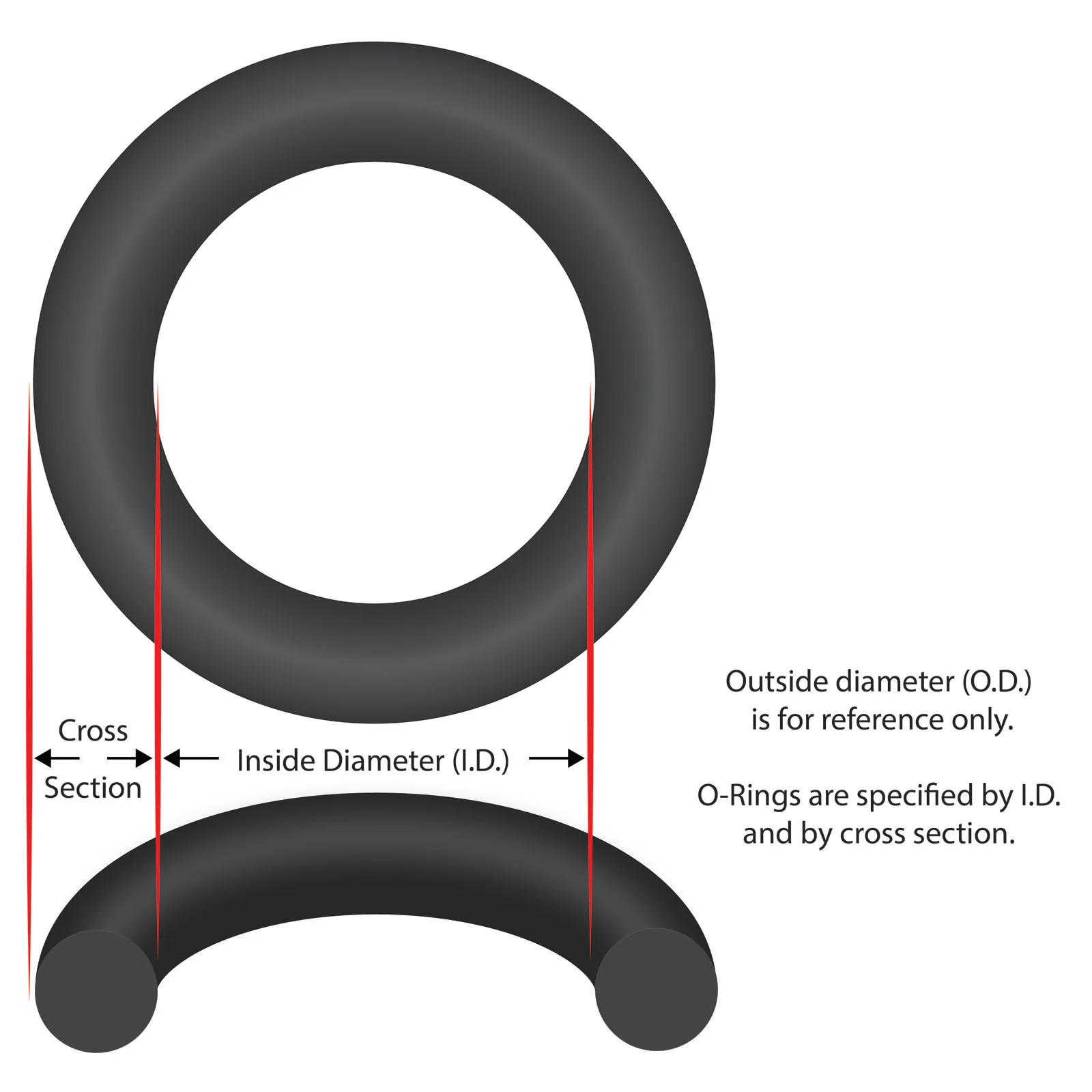 O-Ring, Speck 72/Badu EcoMV, Body — image 2