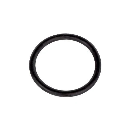 Hayward Piston O-Ring SPX0410Z2