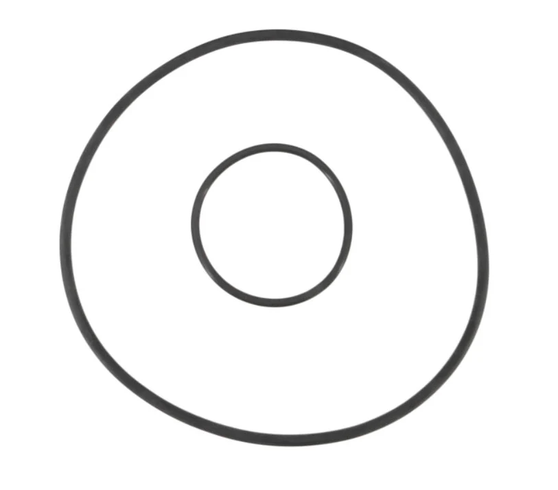 Sta-Rite PTM 70/100 O-Ring Kit