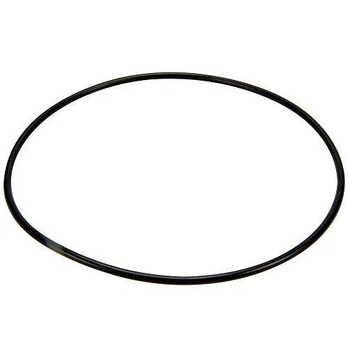 14971-SM20E7 Pentair O-Ring, Cover