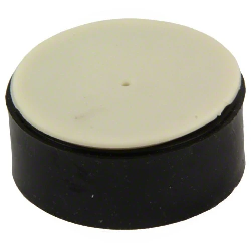 Pentair Filter Check Valve Kit 51516100