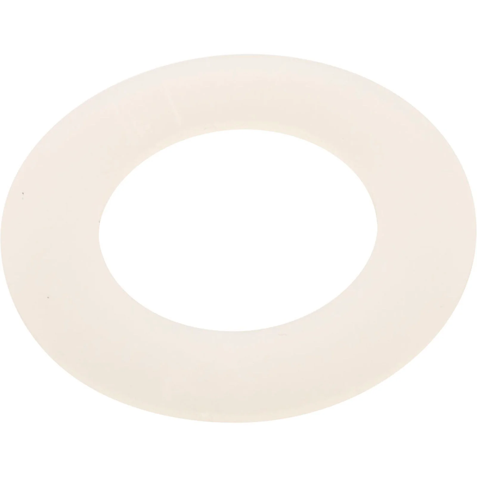 Knob Washer, Hayward Star-Clear Plus — image 2