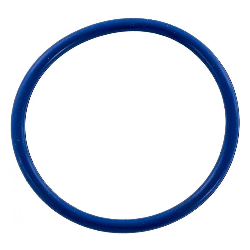Diffuser O-Ring, IntelliFlo 3, IntelliPro 3, 356190Z