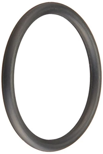E21 Pentair O-Ring Wall Fitting