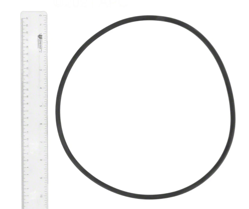 Sta-Rite PTM 70/100 O-Ring Kit — image 2