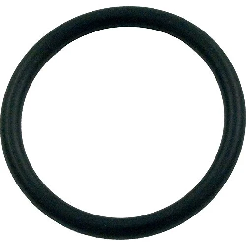 SPX0410Z2 Hayward Piston O-Ring, Large