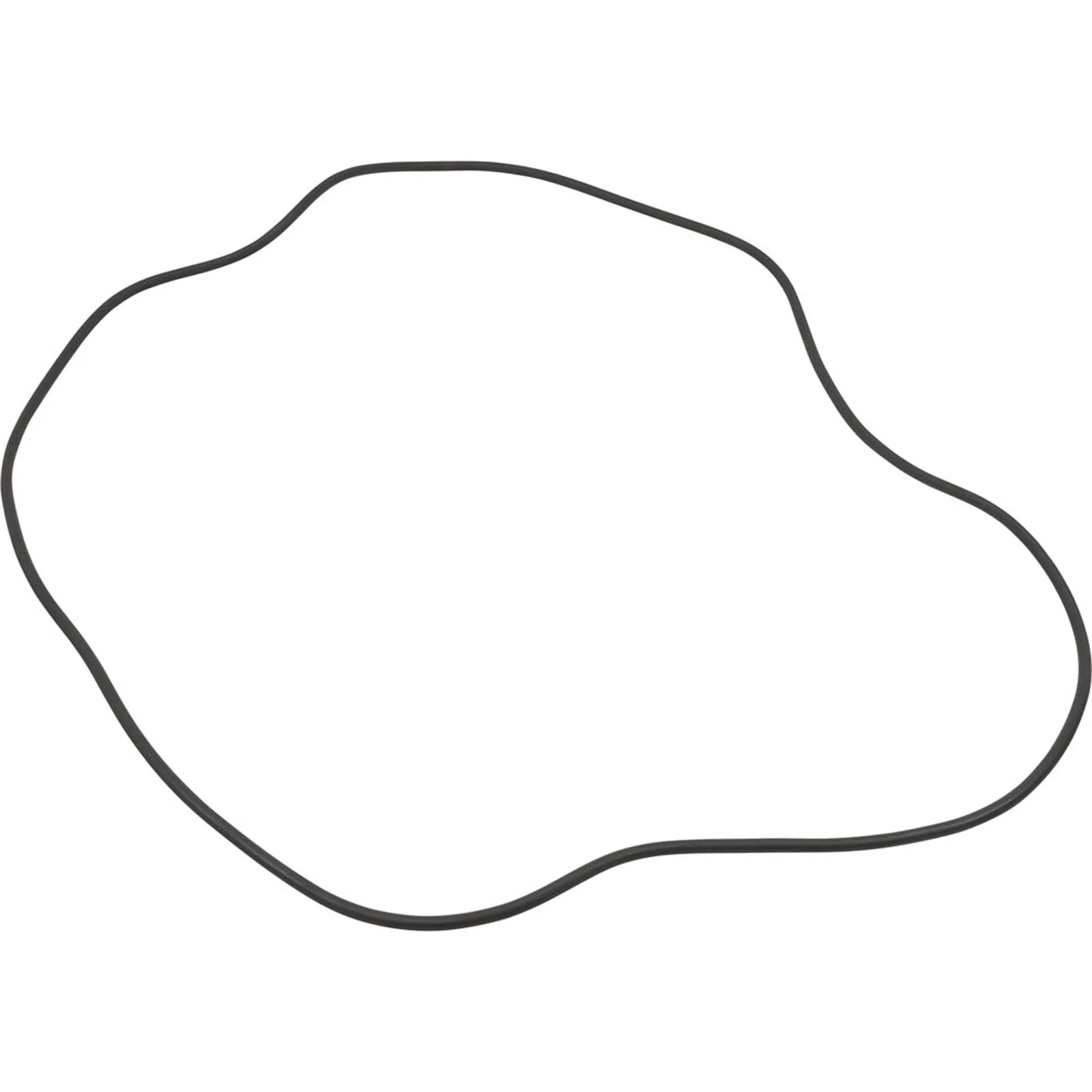 O-Ring, Sta-Rite HRP24, Tank Body, Generic