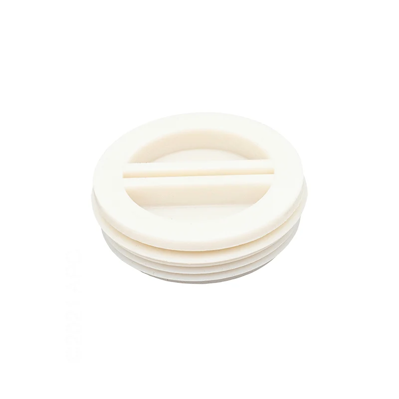 Pentair 1.5" Threaded Plug R22010Z
