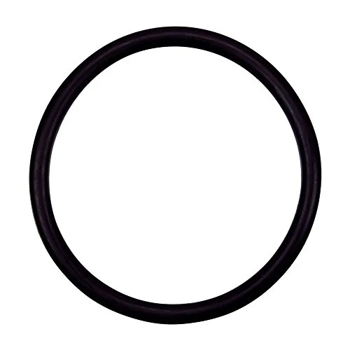 154492 Pentair O-Ring 2" Bulkhd. Pacfab