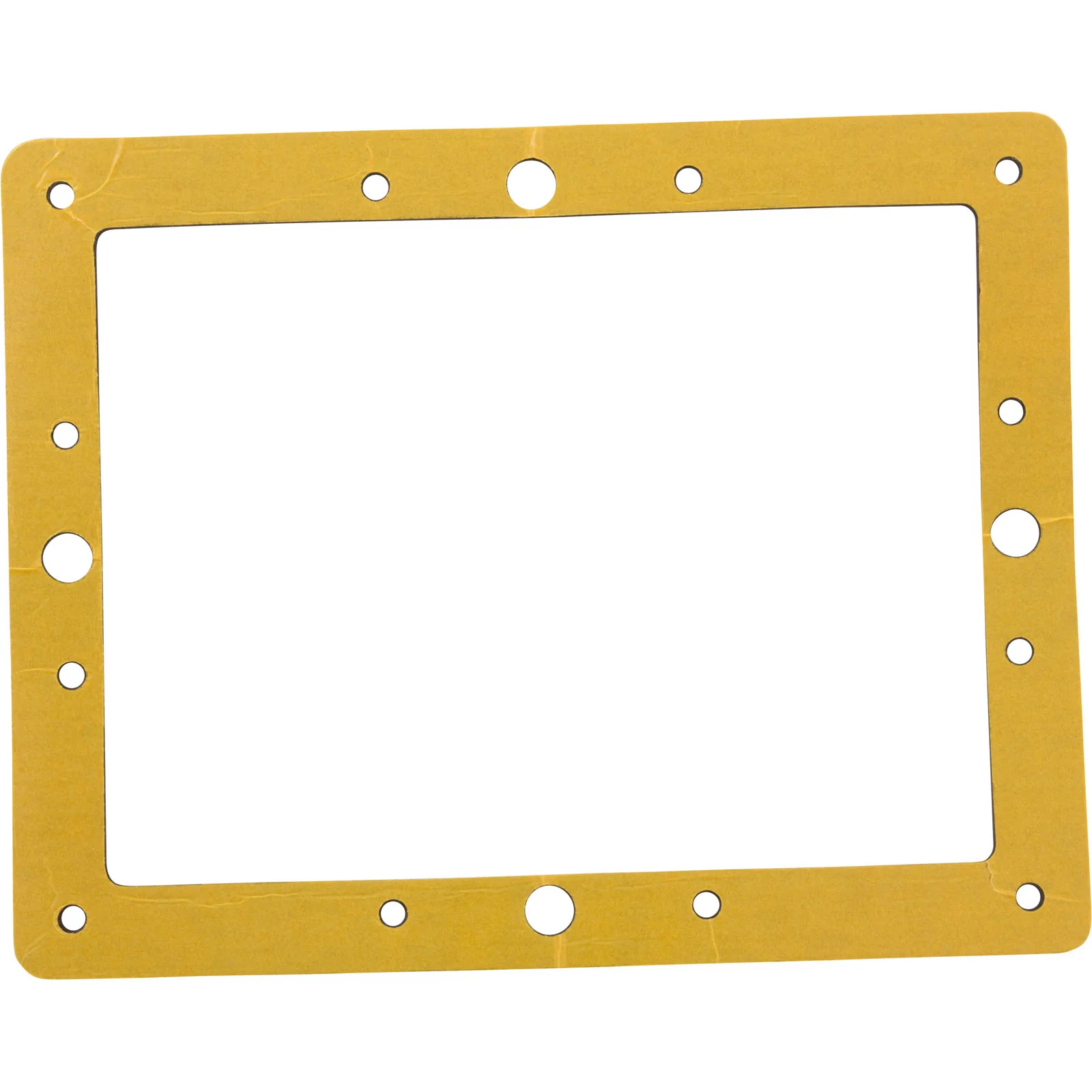 Gasket, Astral, Small Skimmer — image 3