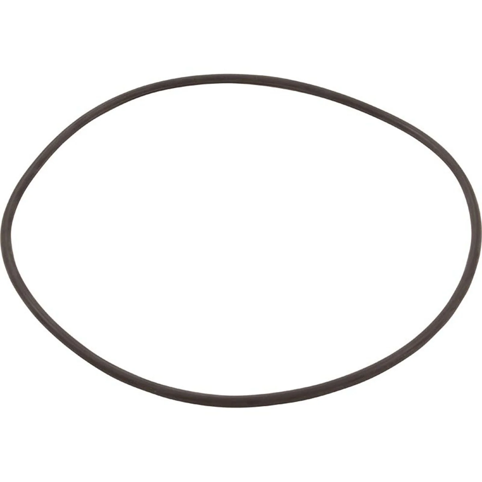 O-Ring for Filter Head
