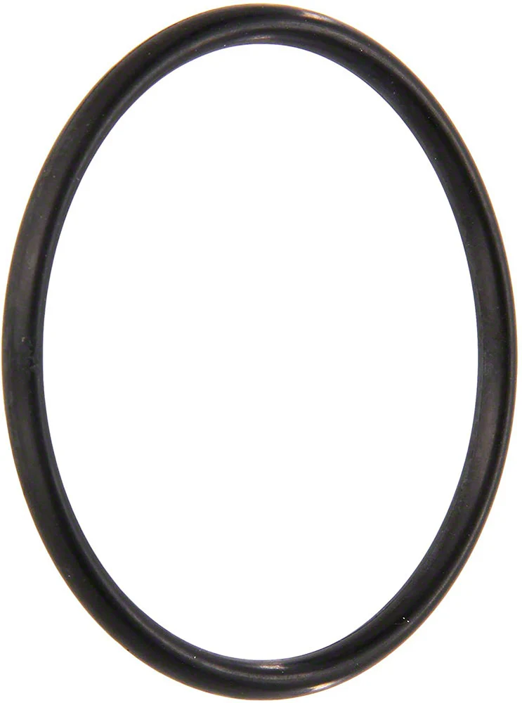 Chlorinator Sanitizer O-Ring #338