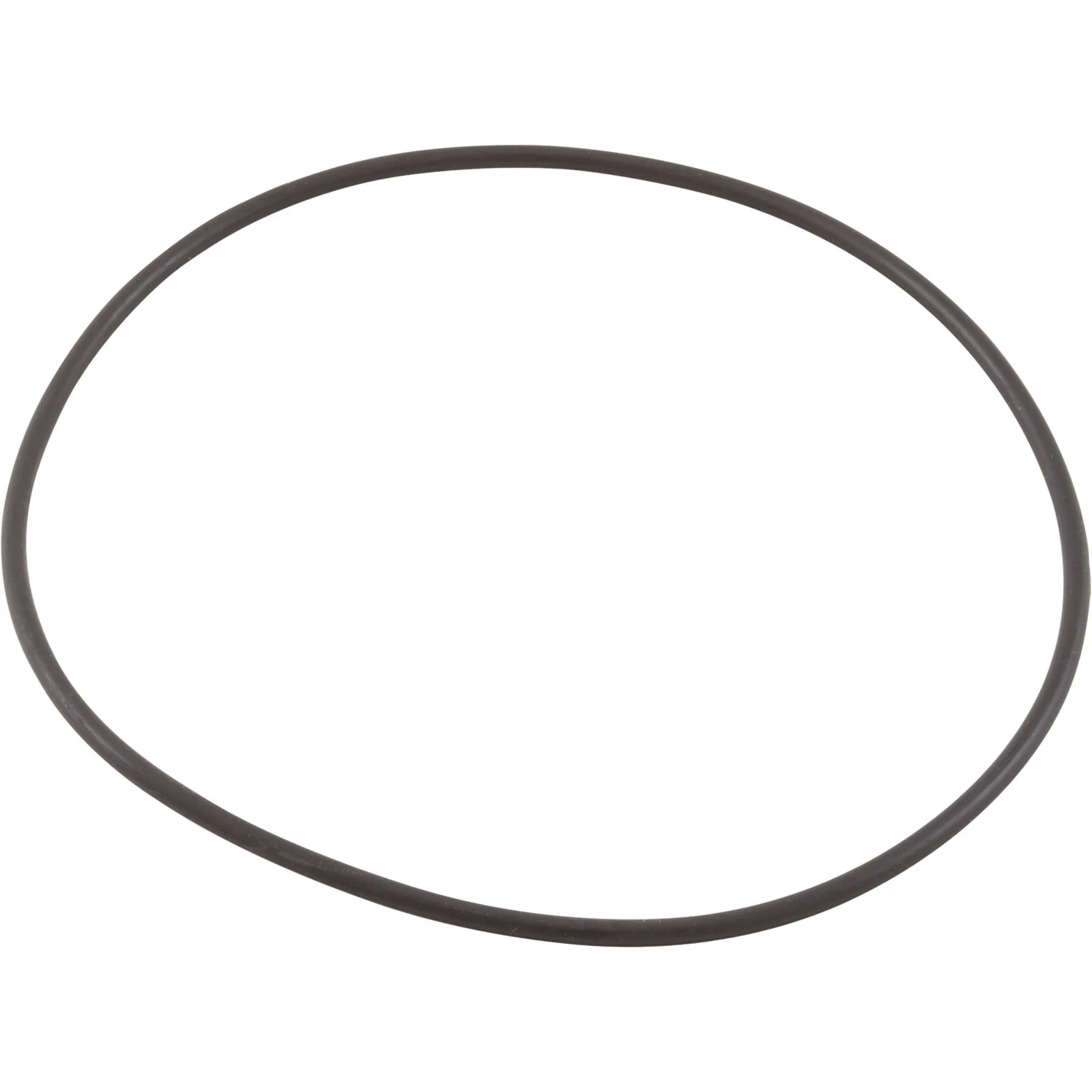 Pool Strainer Top Lid Gasket — image 2