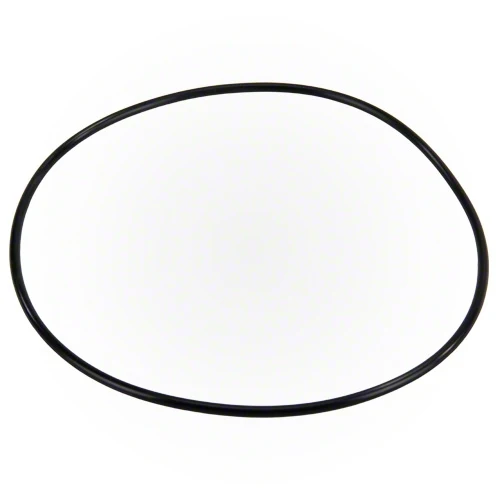 Polaris Booster Pump Bracket O-ring P95