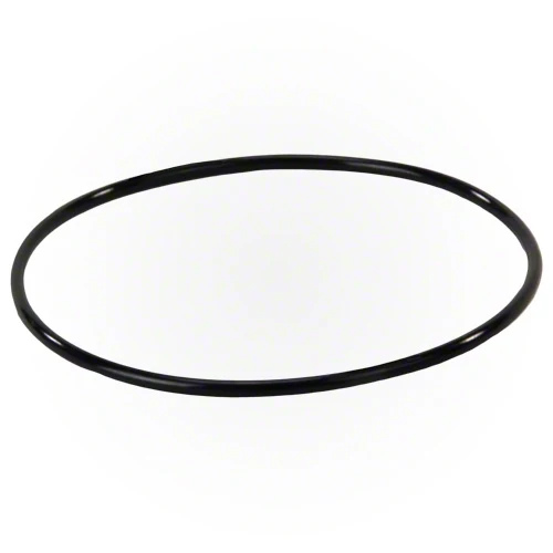 Jandy Energy Filter O-ring R0374500