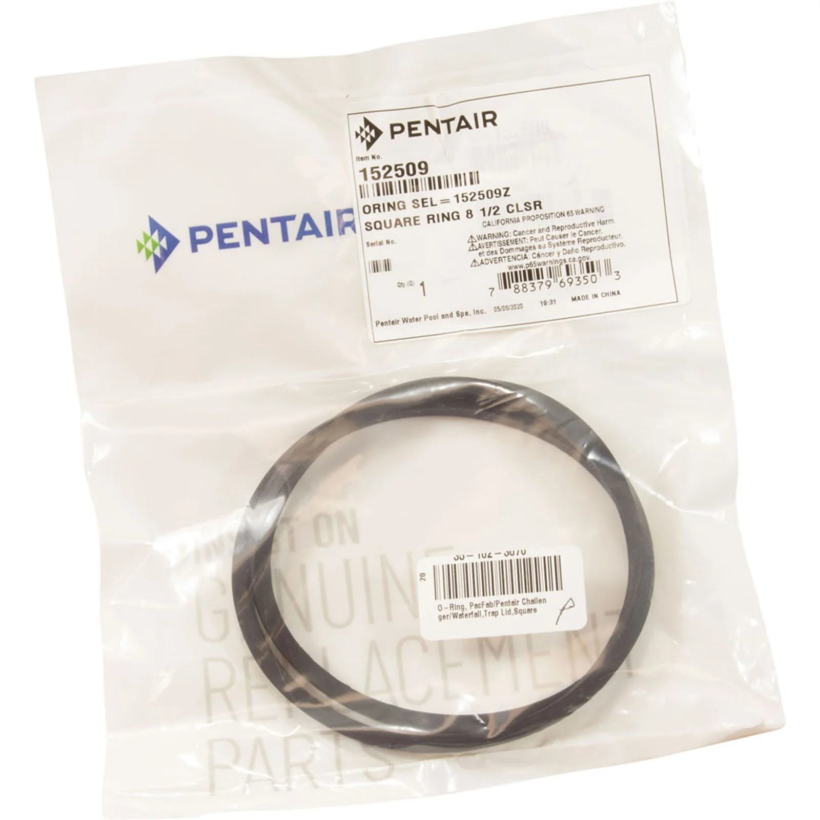 O-Ring, PacFab/Pentair Challenger/Waterfall, Trap Lid, Square — image 2