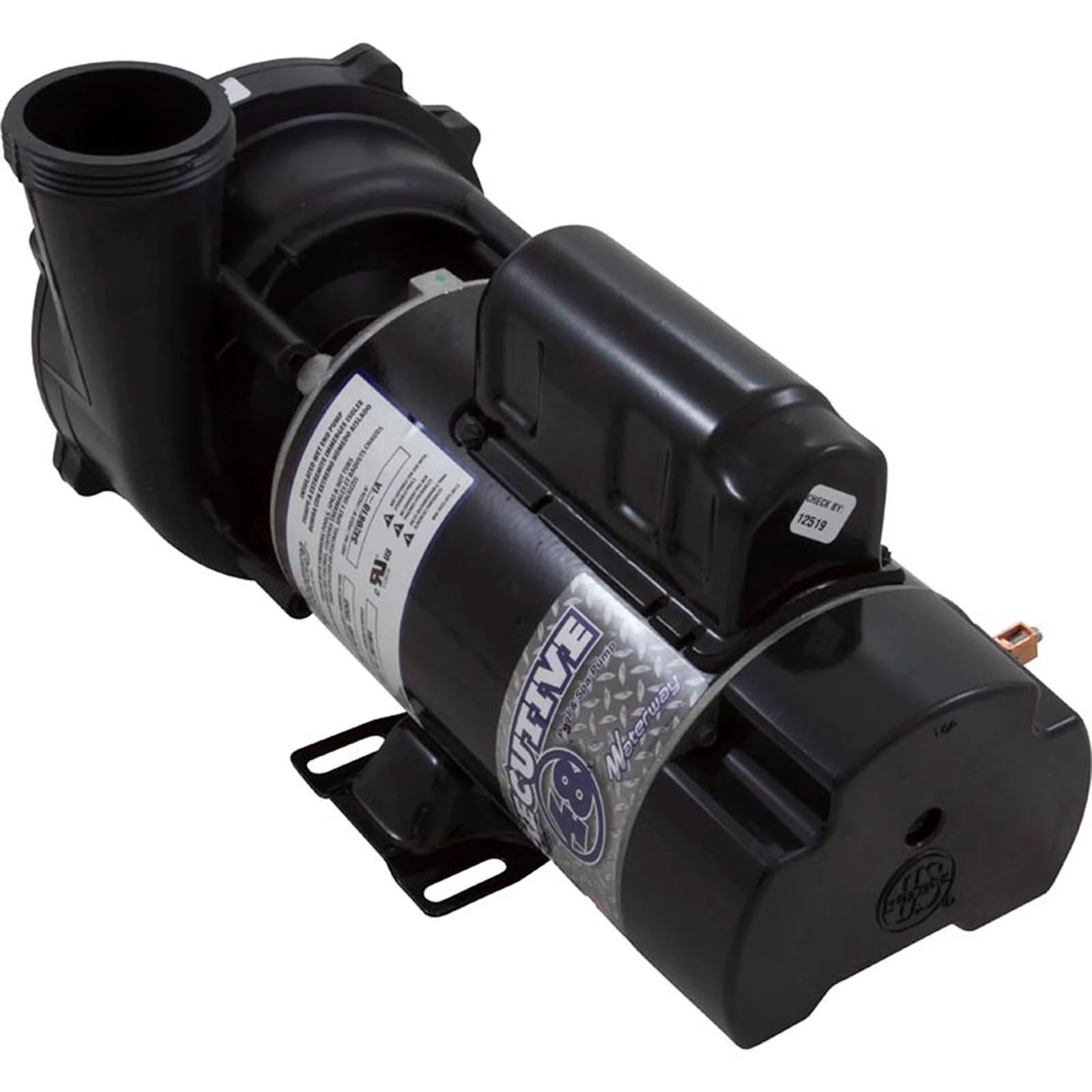 Pump, WW Exec, 1.5SPL, 115v, 2-Spd, 48fr, 2", OEM — image 2