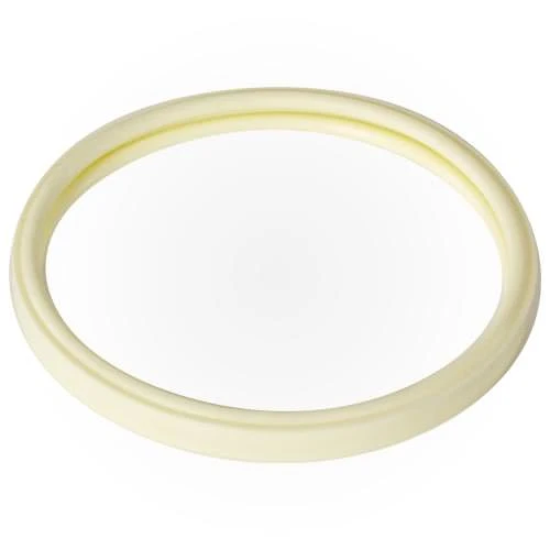 Pentair Gasket Kit 602097 — image 2